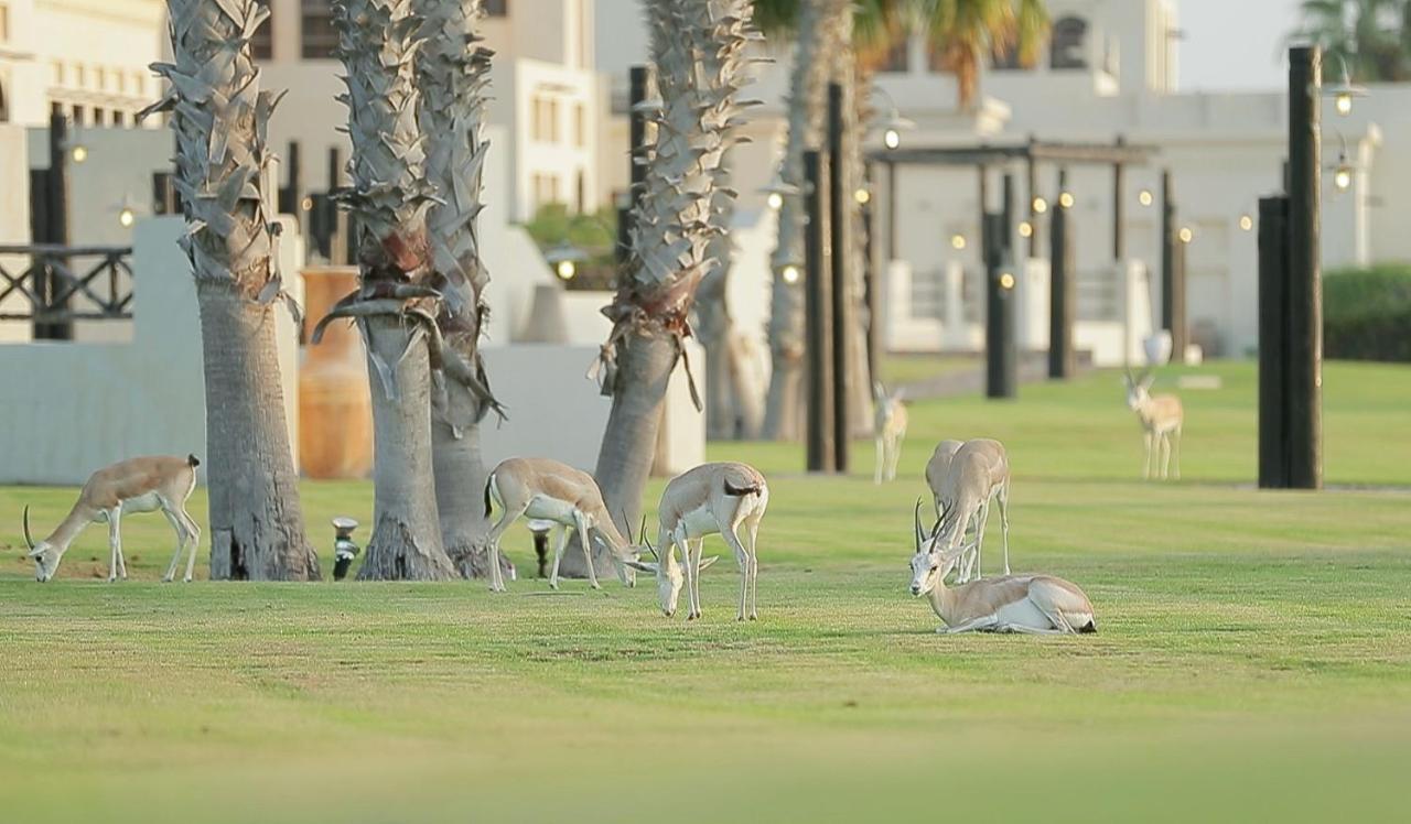 Al Maya Island & Resort Abu Dhabi Ngoại thất bức ảnh